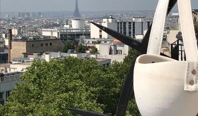 miniature Studette avec terrasse avec vue sur tout Paris de 1  pièce  à Paris image nº3