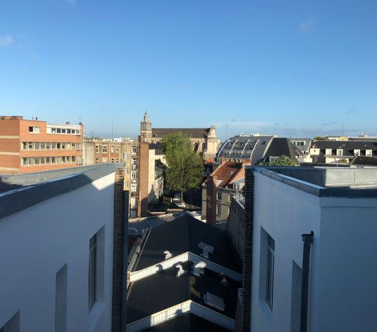 Beau 2P meublé, Rue de Bethune, vue sur toits, de 2  pièces  à Lille image nº3