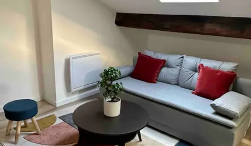 Splendide studio meublé 40m² Charges Comprises de 1  pièce  à Saint-Étienne image nº1